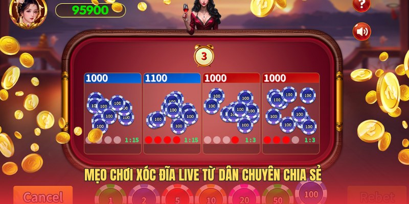 meo-choi-xoc-dia-online-danh-cho-nguoi-moi